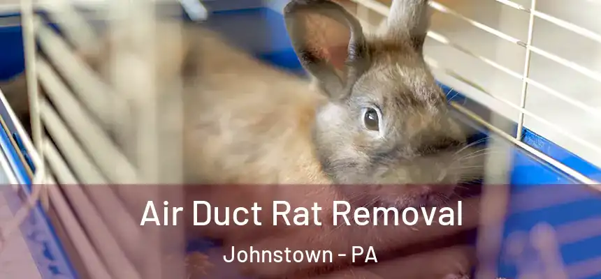  Air Duct Rat Removal Johnstown - PA