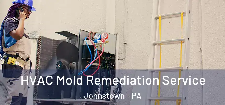  HVAC Mold Remediation Service Johnstown - PA