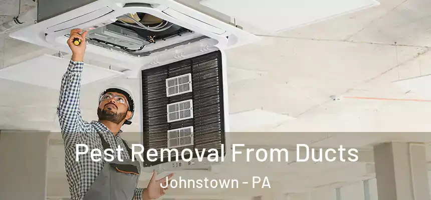 Pest Removal From Ducts Johnstown - PA
