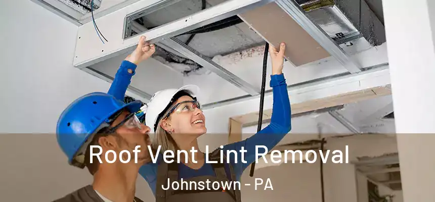  Roof Vent Lint Removal Johnstown - PA