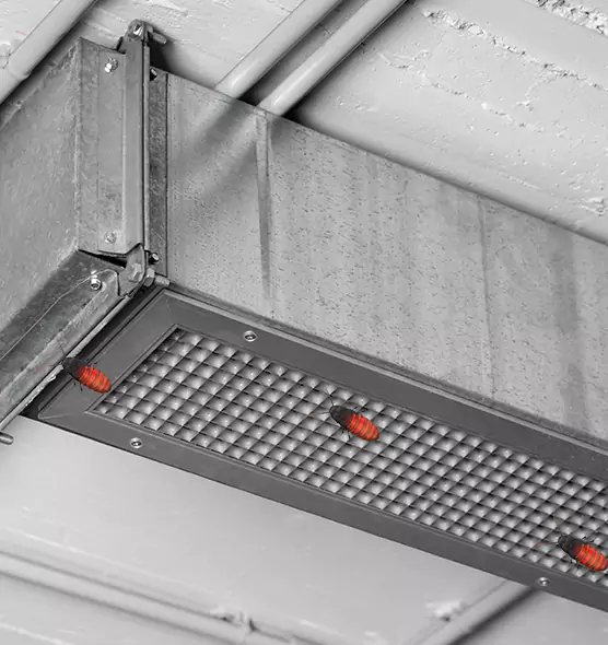 About Air Duct Cockroach Removal in Johnstown, PA