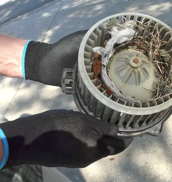 About Air Duct Mice Removal in Johnstown, PA