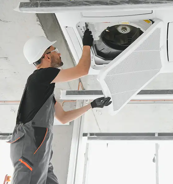 About Air Duct Rodent Removal in Johnstown, PA