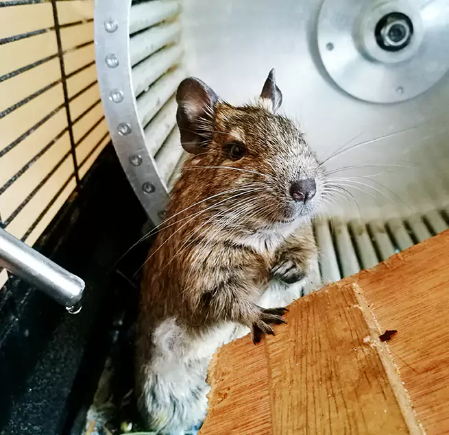 Why Homeowners & Businesses Trust Us Johnstown, PA